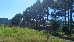 Double House Próximo ao Centro