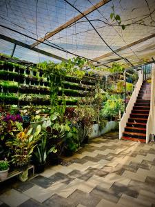 JoeVilla Homestay Near Kottiyoor