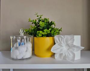 Bliss on JBay - BlissPool