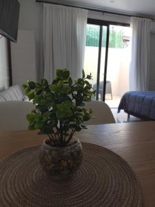 Departamento monoambiente "Pellegrini en el centro