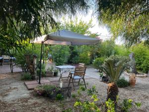 Da Paolo e Lilli img10