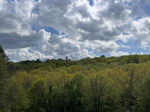 Maisons de vacances Blue Horizons Farm : photos des chambres