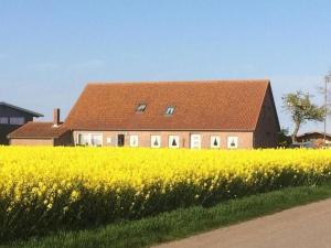 An der alten Pappel Nr 3