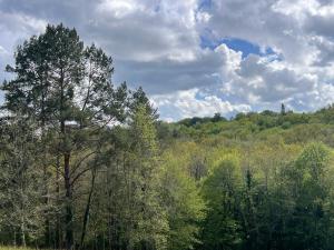 Maisons de vacances Blue Horizons Farm : photos des chambres