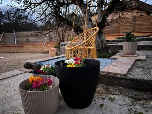 Maisons de vacances Blue Horizons Farm : photos des chambres