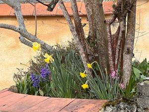 Maisons de vacances Blue Horizons Farm : photos des chambres