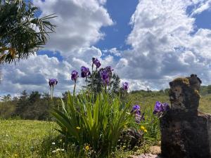 Maisons de vacances Blue Horizons Farm : photos des chambres