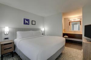 One-Bedroom King Suite room in Sonesta ES Suites San Jose - Airport