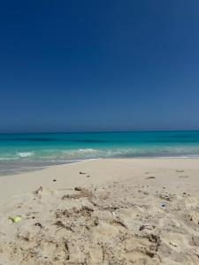 الساحل الشمالي