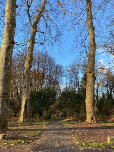 Appartements Chateau, poteries, vins et randonnees 2 : photos des chambres