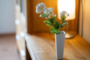 Ostlandstraße 1 Silbermöwe