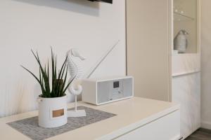 Im Sonnengarten Pinguin