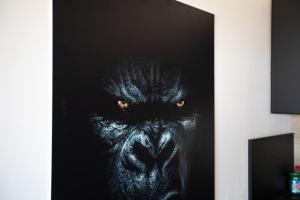 Appartements CosmoDream : photos des chambres