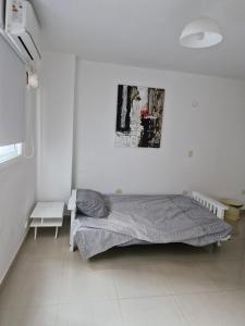 TORRES ZONA Casa de Gobierno