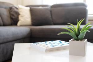 Deichhof 3a Wohnung 1