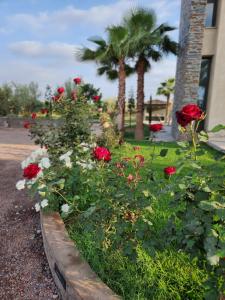 Villa ilyana, Atlas Villa