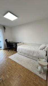 Modern Apartment in Basel