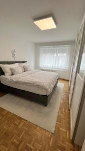 Modern Apartment in Basel