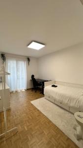 Modern Apartment in Basel