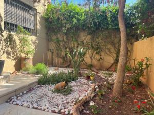 Marrakech le joyau villa piscine privée jardin