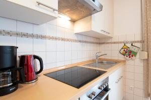 Ostlandstraße 1 Lachmöwe