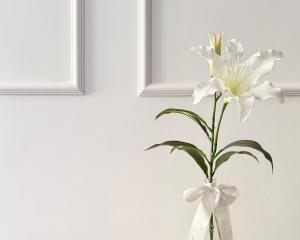 Piwna Suite - in the heart of the Old Town
