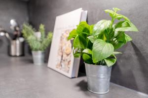 Montemare Ankerplatz