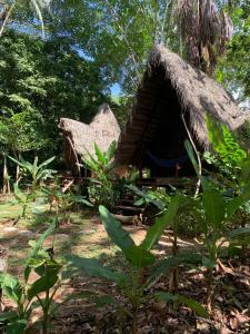 Jungle Cabin - Satori Natural