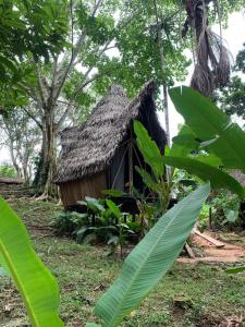 Jungle Cabin - Satori Natural