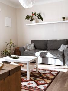 Sigulda center apartments