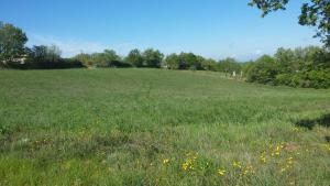 Maisons de vacances Gorges du Verdon - Lac Sainte-Croix : photos des chambres