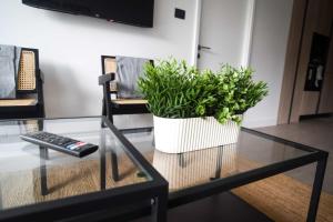 Charming 1D1B Apartment in Las Condes