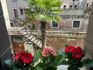 Queen Venice Apartment