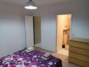 Villa entière proche Aéroport CDG Disney Astérix Parc Expositions