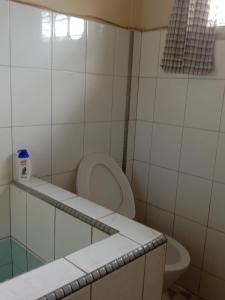 Rumah Gadang Puti Bungsu