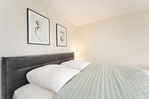 Commodore Meeresperle