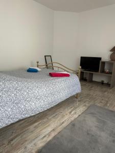 Appartements La bulle du 4 : photos des chambres