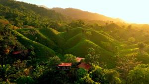 The Valley Tayrona hostel- A social jungle hostel