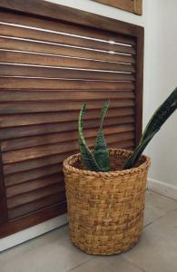 Perla Blanca Apartment