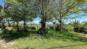 Ape Tabuleiro com Hidromassagem