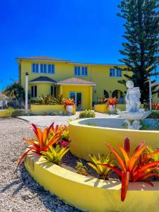 Golden Palms House