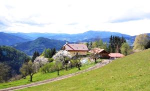Wohlfühloase Koglerhof