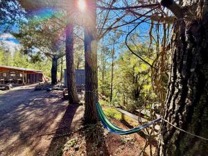 Cabina vista al río en Roca Truful