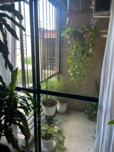 Crisostomo departamento