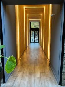 Edificio Pantera - Soñar es crear