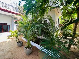 Cozy Sri Lanka House