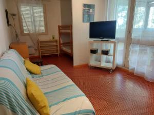 Appartement 23 pièces pour 6 pers à 150m plage avec garage, animaux admis - FR-1-776-111