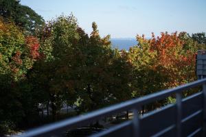 Seepark Muschelschubser