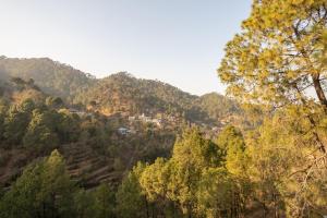 Casa De Valley, Kasauli