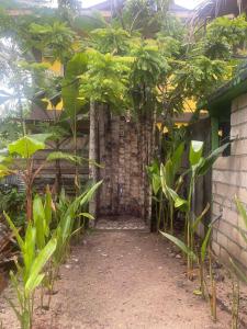 Big Papa Surf Siargao